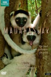 BBC: Мадагаскар