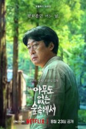 В лесу, где никого нет